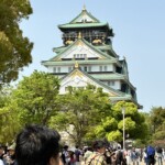 大阪城。外国人がいっぱい。我々日本人は少数派